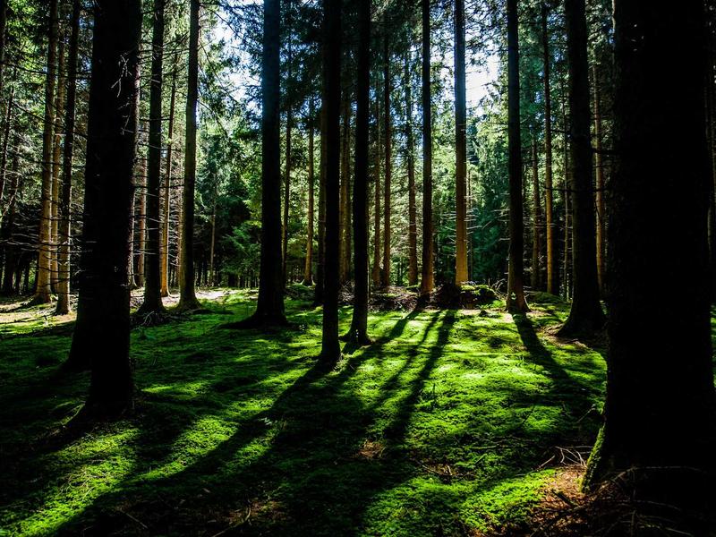 蓬皮杜中心<br>lyv4augd.cn 高技派五脏六腑